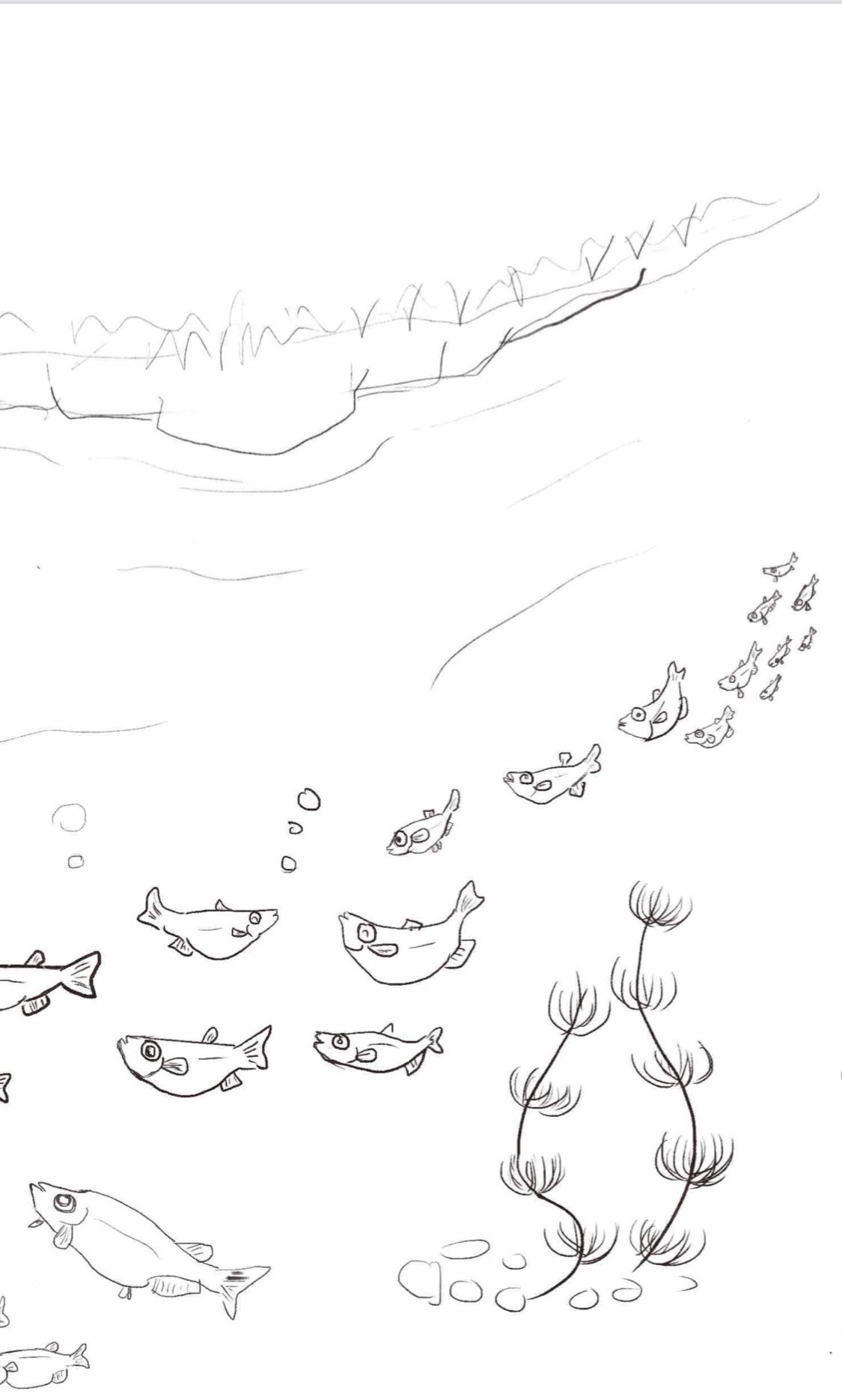 O Xrhsths かぶさきりょうこ Sto Twitter 下絵 描き描き ー 絵のお仕事 ー めだかの種類を調べたら なんと 0種類以上あるらしい 画像をずっと観てたら可愛い スワローメダカとか パンダメダカとか 私の知らない世界 めだか メダカ 絵