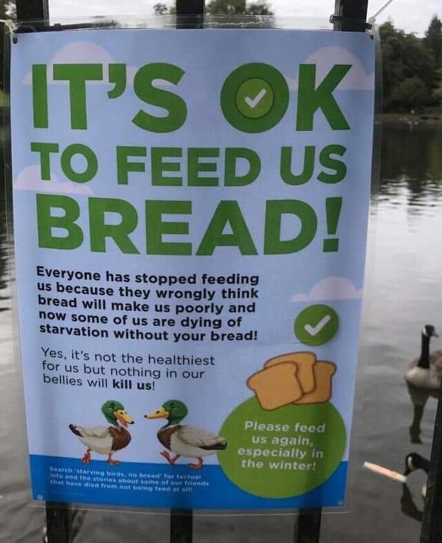 MyHarlow-Harlow Shops Guide & Community News (@myharlow) on Twitter photo 