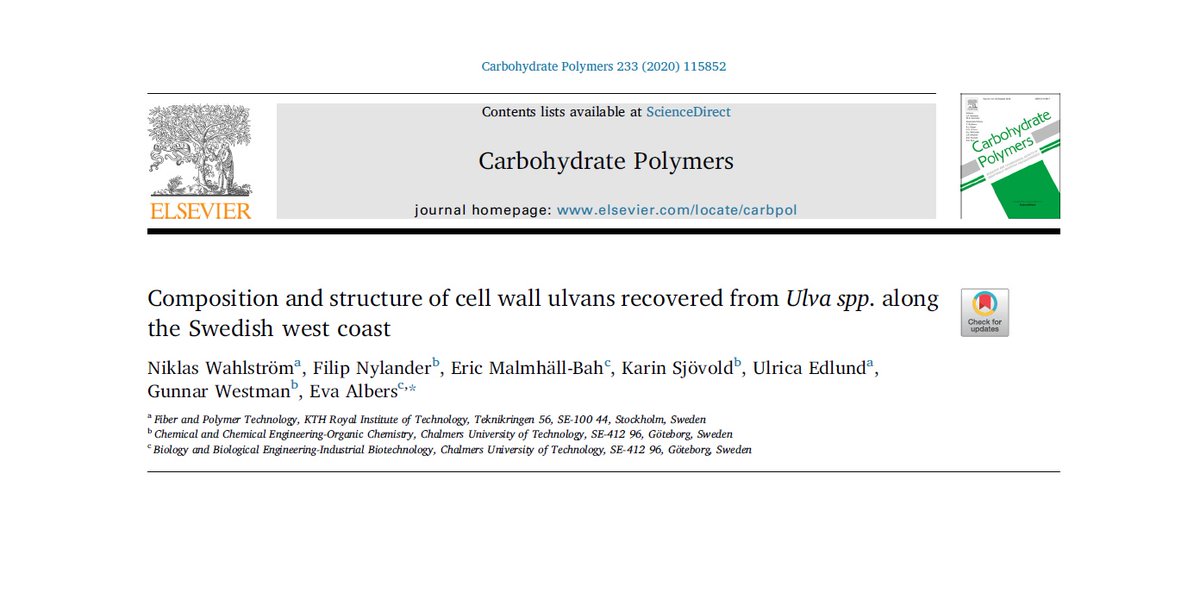 SweaweedProject's tweet photo. Are you interested in how specific chemicals can be isolated from #seaweeds and what could be their future application? Our new #research article on the cell wall polysaccharide Ulvan anwers these questions - @KTHuniversity, @chalmersuniv 

https://t.co/9Clsay49bn

#Ulva #GoGreen https://t.co/tPgCYjXts0