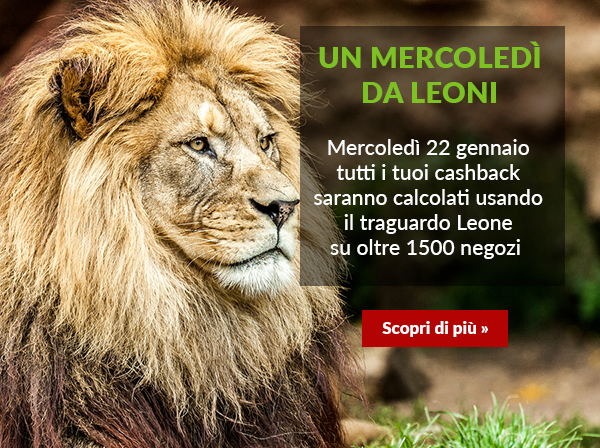 Bestshopping.com tweet media