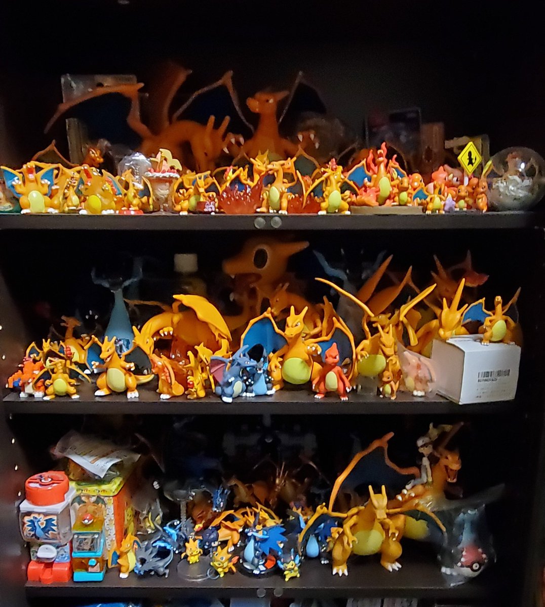 たかひろ リザードンたちが切磋琢磨し己で強さを追い求めています 中には色違いのリザードンや 頑張って進化をしたいヒトカゲやリザードたちもいます まるでリザードンの生息地であり保護区 ジョウト地方の リザフィックバレー ポケモンと生活