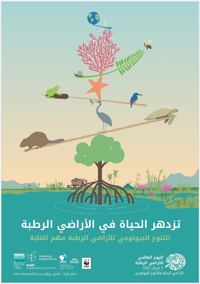 MedWetOrg_AR's tweet photo. تزدهر الحياة في الأراضي الرطبة 
التنوع البيولوجي للأراضي الرطبة مهم للغاية

يمكنكم تحميل مواد #اليوم_العالمي_للأراضي_الرطبة باللغة العربية: https://t.co/ntS8gIwpCD

 #التنوع_البيولوجي  #الأر��ضي_الرطبة @RamsarConv #WorldWetlandsDay r https://t.co/45JEB2vhde