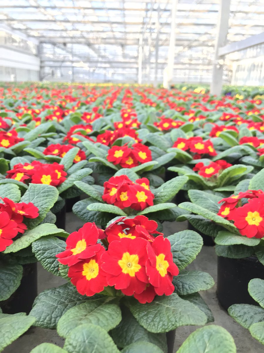 Battlefield Farms tweet media