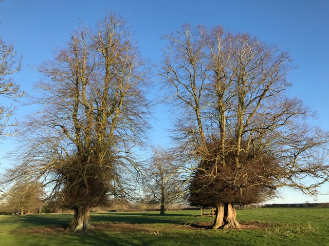 Listening to the Earth tweet media