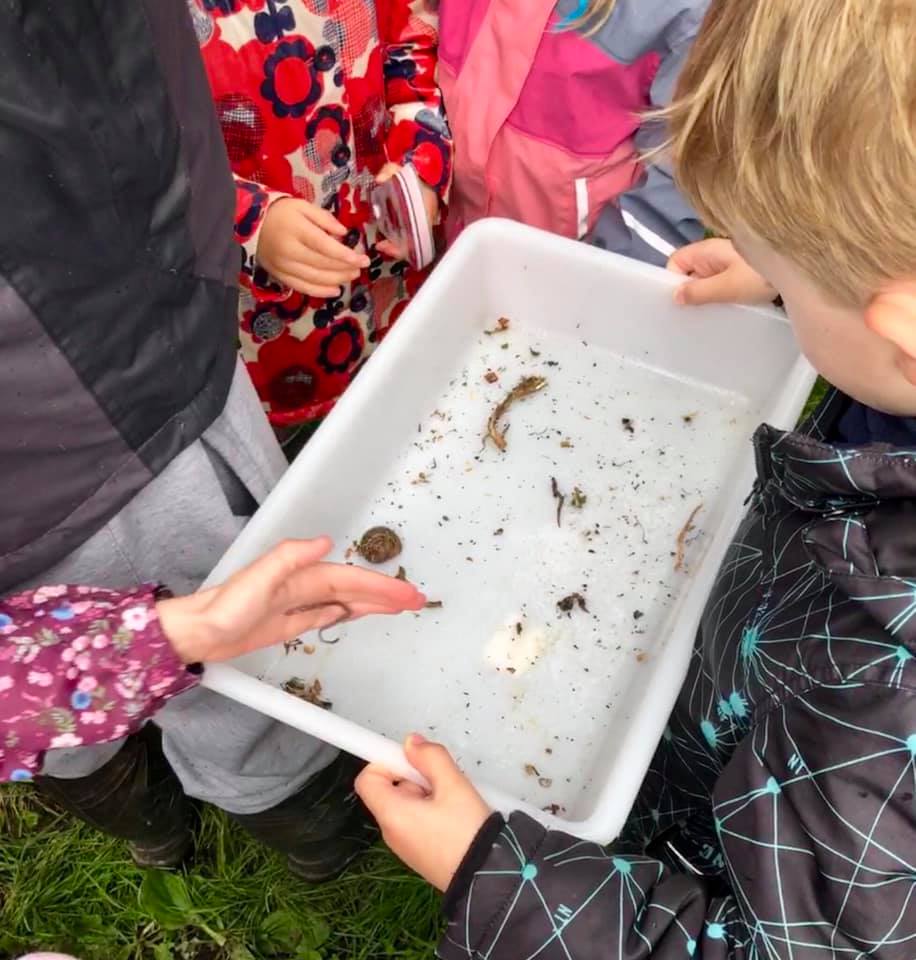 HeritageWeek's tweet image. ‘Wild Child Bug Safari’ has been shortlisted for a Cool for Kids Award at the National Heritage Awards 2019. The family ‘bug safari tour’ of the new Castle Garden was organised by @NenaghArts and inspired attendees to appreciate their environment by learning about insects.