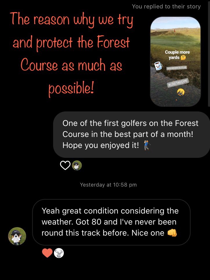 bramshawgc's tweet photo. Exactly this... it’s why protecting the courses is so important. So that when they can be played they are still in great condition! Thanks Alex! 👍🏻🏌🏼‍♂️

#winter #newforest #golfcourse #protection #coursemanagement #golf #golflife #comeandplay #hampshiresoldest #forestcourse https://t.co/8r864AdcaG