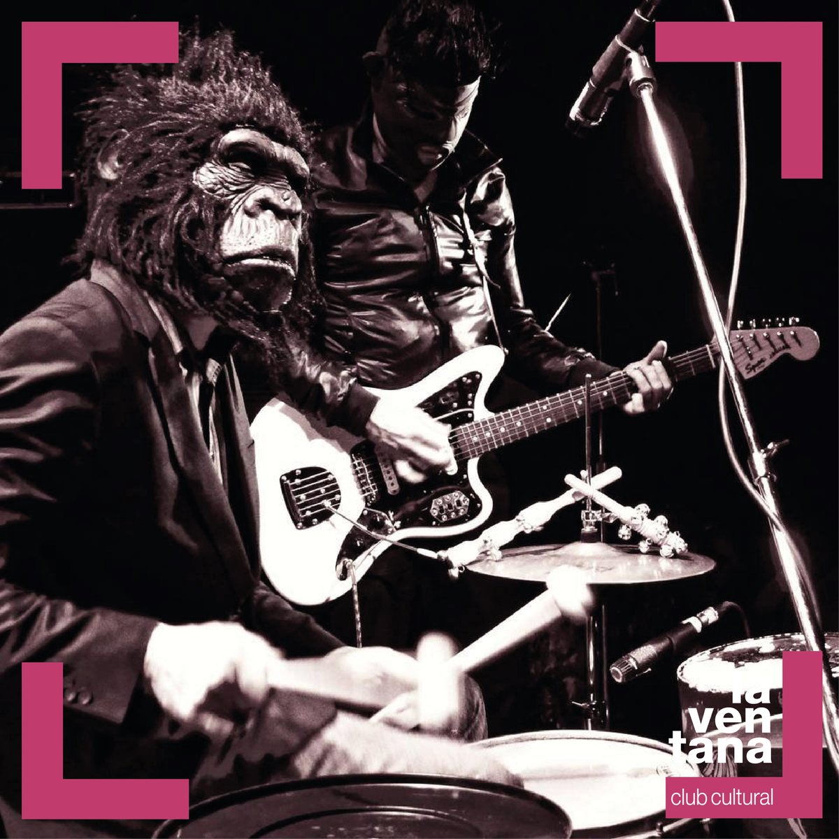 [#Música] Este jueves 23 de enero concierto del dúo instrumental Pelo Mono formado por el granadino Antonio Pelomono (batería y percusión) y Pedro de Dios (cantante y guitarrista de Guadalupe Plata). En @lemonrockhostel a las 22h. 

ow.ly/3dXx50y0En7