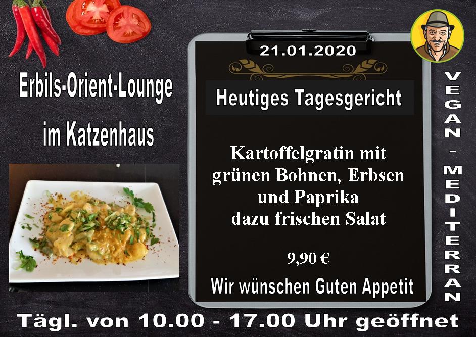 Heutiges Tagesgericht in unserer #ErbilsOrientLounge im Katzenhaus (#TierheimMünchen)

> Kartoffelgratin mit grünen Bohnen, Erbsen und Paprika 
dazu frischen Salat. 

Wir wünschen Guten Appetit !  facebook.com/VeganMediterra…