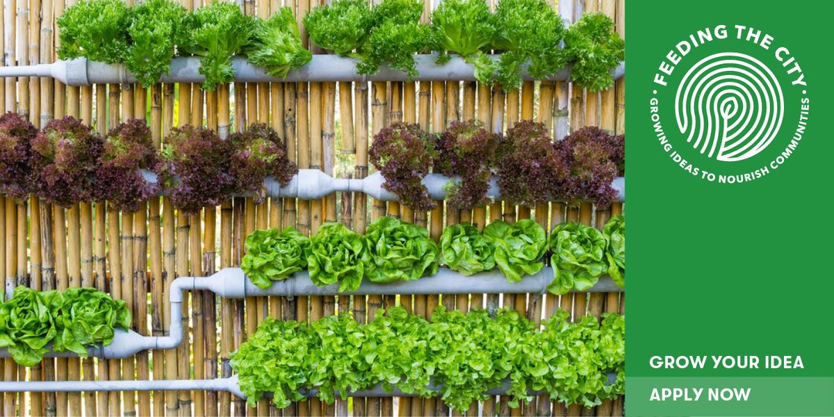 @TraciLewis (@tracilewis79) on Twitter photo #FeedingtheCity is now open for application!
A free 12 month programme for #sustainablefood #startups.
Learn more & meet like-minded people at our #Bristol #workshop 30th January bit.ly/FTCBristol2020 <a href="/Bristolconnect/">Food Connections</a> <a href="/Bristolfoodnet/">Bristol Food Network</a> @bgreencapital #FeedingtheCity is now open for application!
A free 12 month programme for #sustainablefood #startups.
Learn more & meet like-minded people at our #Bristol #workshop 30th January bit.ly/FTCBristol2020 <a href="/Bristolconnect/">Food Connections</a> <a href="/Bristolfoodnet/">Bristol Food Network</a> @bgreencapital