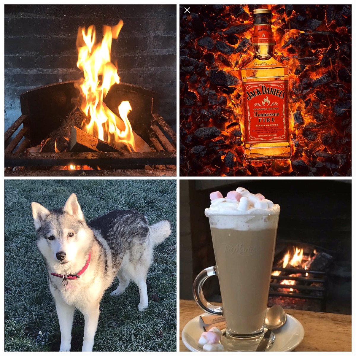 WhiteHartSO41's tweet photo. It’s a cold frosty day so come in and warm up by the fire🔥 #hotchocolate #dogfriendly #logfire #jdfire #localpub https://t.co/DTzpEvOuJF