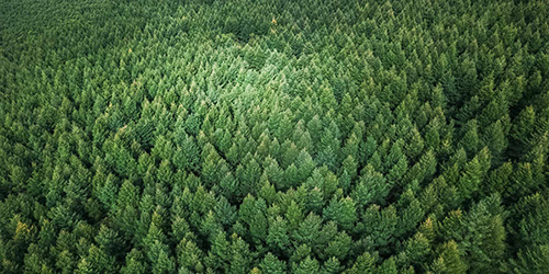 MSCI Announcements: MSCI Urges Industry to Incorporate #ESG Considerations into Investment msci.com/documents/1019…