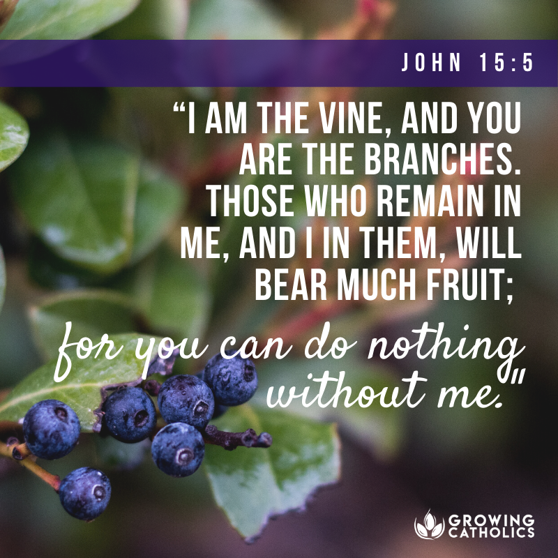 GCatholics's tweet photo. Remain - https://t.co/IKmy0ZCFR8
#bible #scripture https://t.co/MrPcYJkBmB