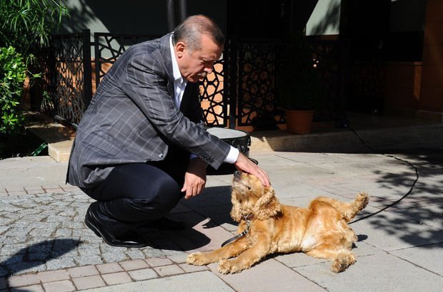 simdiogrendin's tweet photo. CUMHURBAŞKANI TALİMATIYLA #EMNİYETE #YENİ #BİRİM KURULUYOR ?
Hayvanlara yapılan işkence ve eziyetlerin artması münasebeti ile Cumhurbaşkanı Erdoğan'ın talimatıyla  hayvanlara karşı işlenen suçlar için 'Hayvan Polisi' geliyor. https://t.co/Z1vhopOmn6