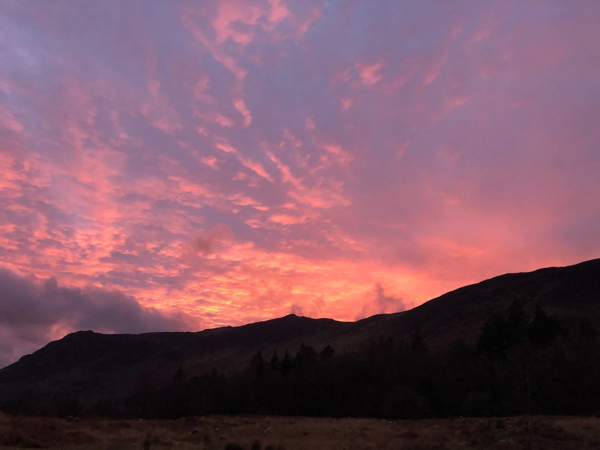 Who'd like this sky for #darkskies? Fantastic night skies at the  moment and great to have some #frostymornings too! 

>>waiting list for entries email us directly to go on in case of folk dropping out!