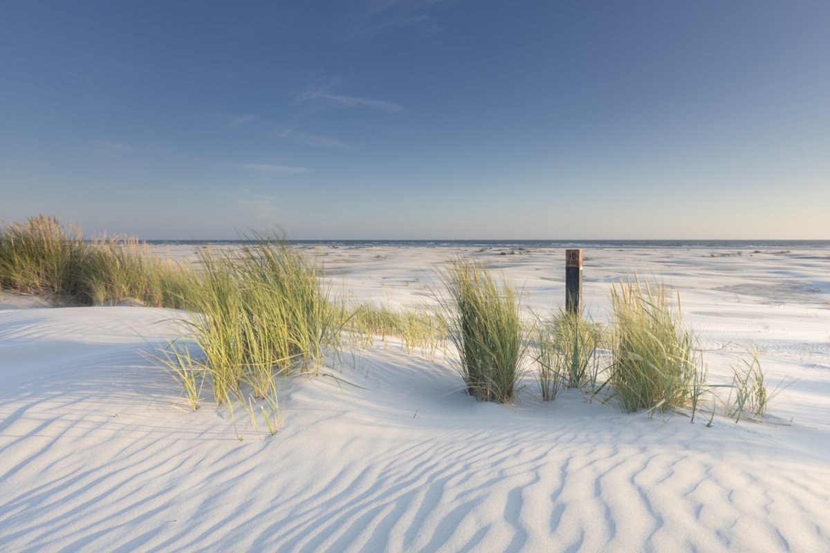 vvvameland's tweet photo. Geniet van fijne momenten op Ameland, zoals een wandeling over het strand. 
https://t.co/1O7j2XMzYH Foto: Anja Brouwer https://t.co/Zk00f0t68d