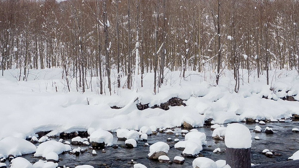 lun_des_jumeaux's tweet photo. RIVERSIDE
#riverside
#forest
#winter
#snow
#nature
#freshstream
#็
#้ช
#ๆฃฎ
#ๅท
#ๆธ
ๆต https://t.co/UzrIpdobbY