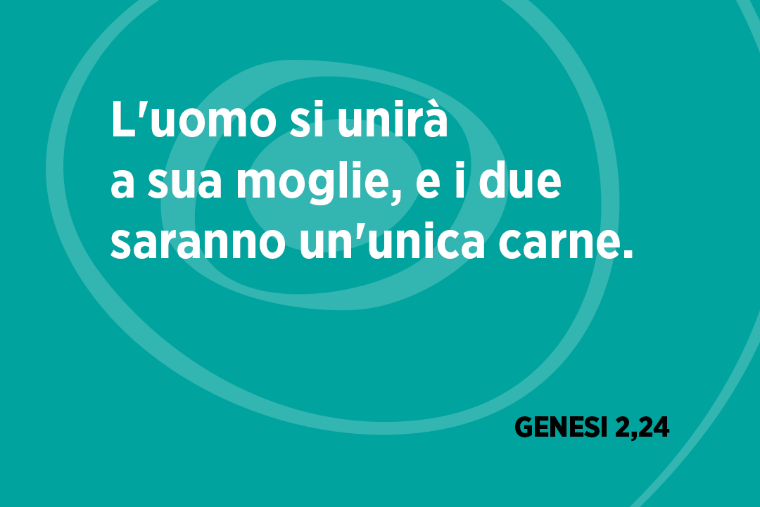 twittomelia's tweet photo. 📸 GENESI 2,24 📸
by @danieledalpozzolo_ph
•
Sentirsi più grandi del mare, sentirsi ancor meno di niente, non aver paura di essere fragili e piccoli: questo è amore.
•
#twittomelia https://t.co/6L2njZAhlh