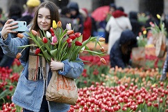 Nationale Tulpendag rvk.nl/kleurrijke-sta… <a href="/nieuwsvanalpha/">Alpha Communications</a>