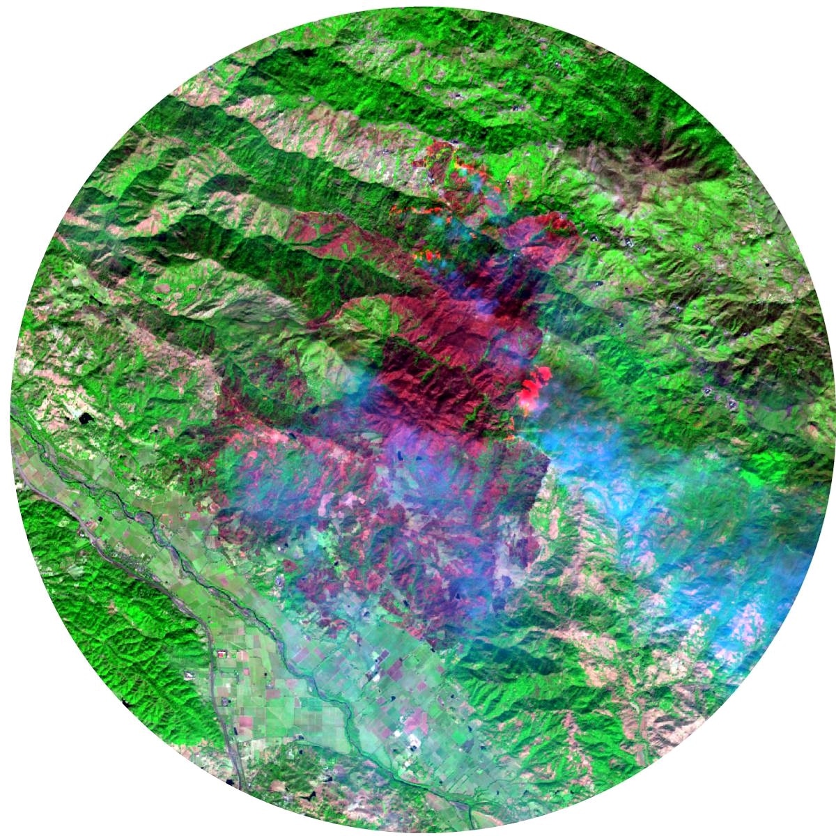 AerialAgri's tweet photo. False Colour Composite, Fire caused by electrical fault displacing thousands in northern California, bright red depicts active fire https://t.co/Dv8wKdGckQ