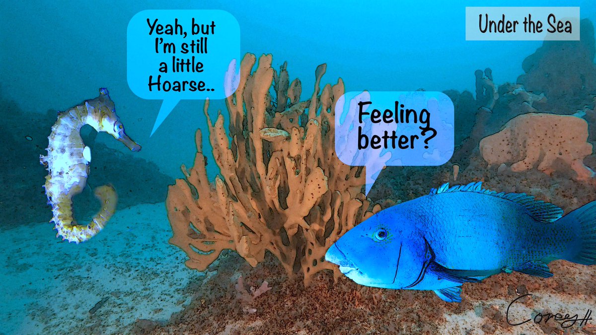 at_the_beach's tweet image. #scuba #comic #cartoon #underwater #diving #humor #scubadive
Thewanderingdiver.com