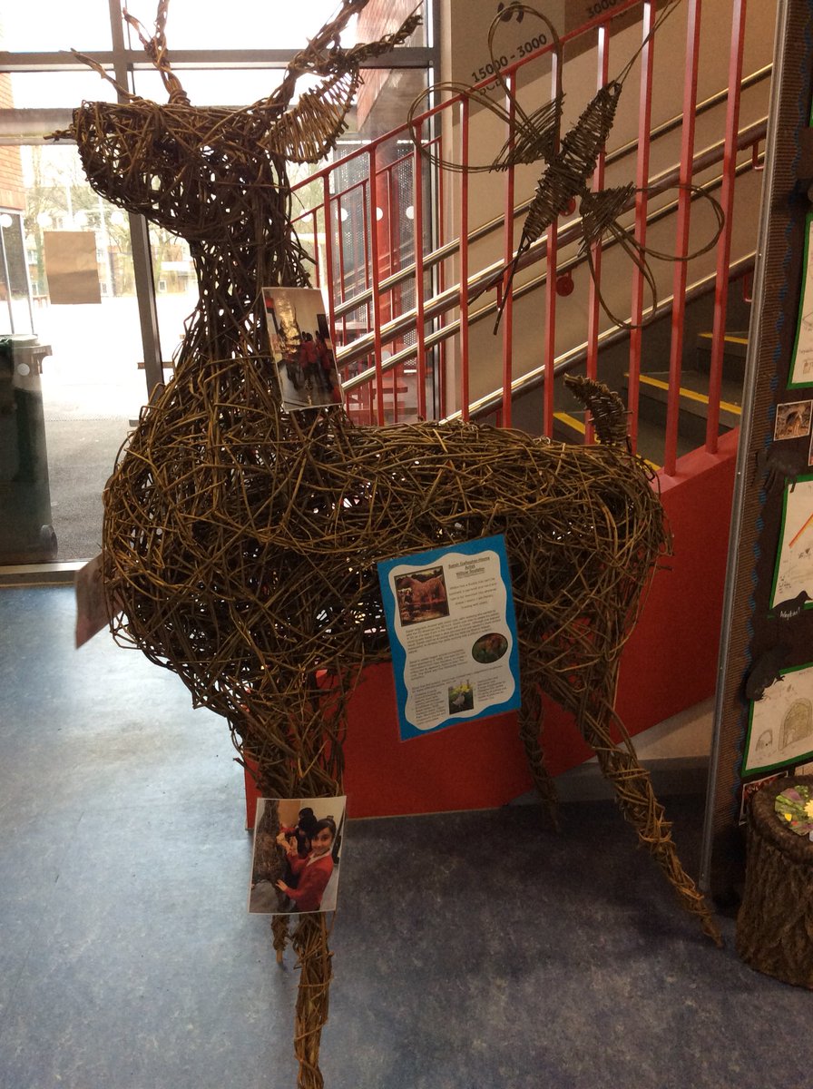 Clarendon6P's tweet photo. Thank you @twigtwisters for working with years 3-6! Our amazing willow sculptures give a friendly welcome to all visitors! Created as part of our #wildlifeconnections project with @chesterzoo #primaryart #creativelearning https://t.co/xhsdL8h3g8