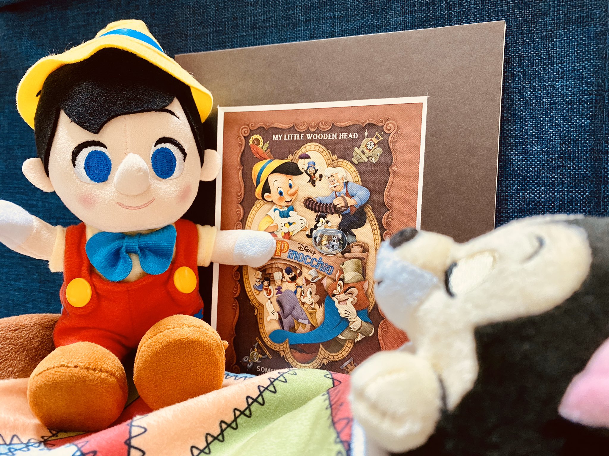 古城 望 ピノキオ80周年おめでとう ピノキオはもちろんだけど フィガロも可愛すぎる お迎えできて良かった ピノキオ 80周年 フィガロ ディズニー Nuimos ぬいもーず T Co U7xhqu0u8j Twitter