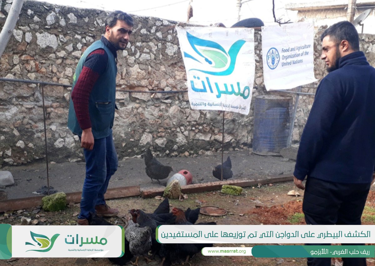 MasrratEst's tweet photo. A Part of the field visits by the veterinarians team to the poultry distributed in Orm Al Kubra village. Where the veterinary team conducts medical examinations on chickens and provides medical advice in the event that there is any health problem experienced by poultry.
#MASRRAT https://t.co/A65ke7aSXy