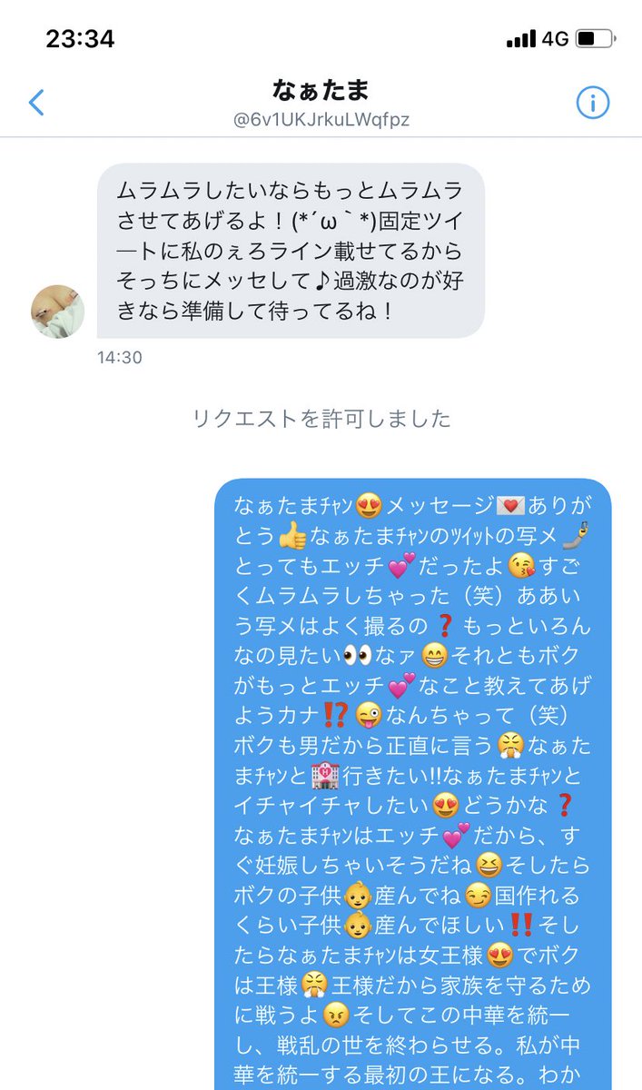 これ、俺が悪いのか?」エロスパム業者からのDMに超長文を送りつけた