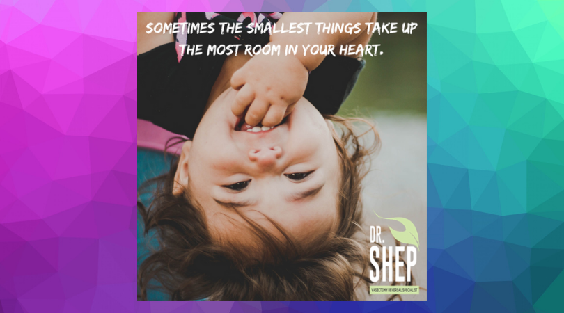 drshepreversals's tweet photo. "My practice is dedicated to helping couples understand their options and assisting them throughout their journey.” - Dr. Shep.  #vasectomyreversal #maleinfertility #specialist https://t.co/BedekUPVdw