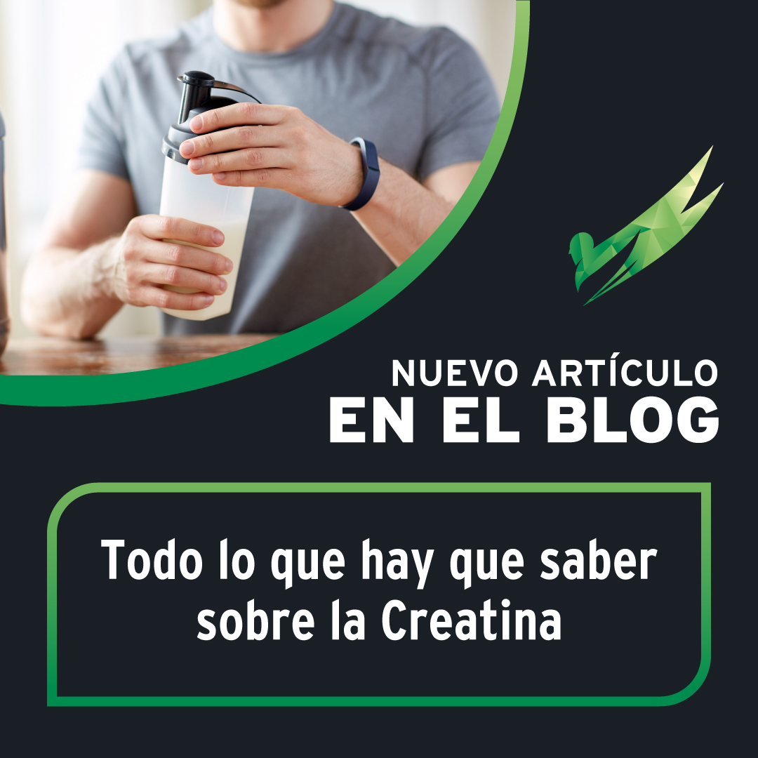 Nuevo artículo en el Blog! 💪
.
.
.
.
.
.
bit.ly/38p9CMn