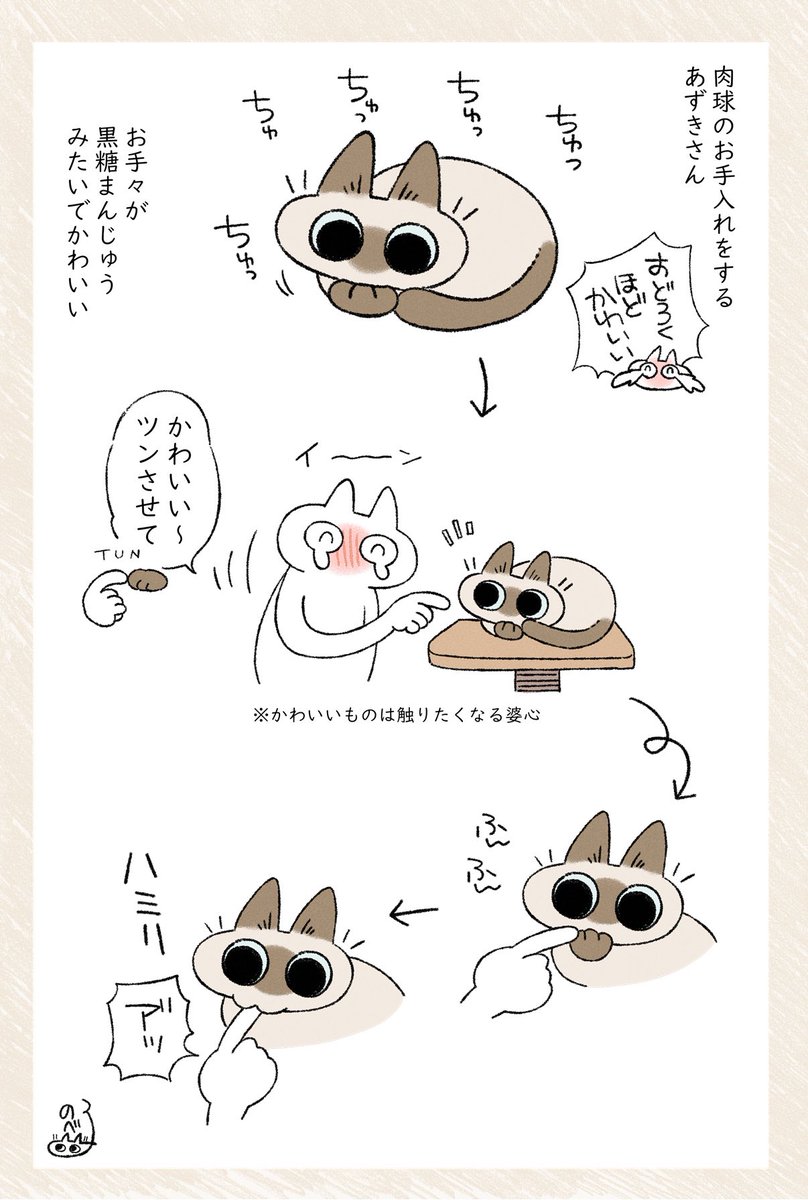 うちのリアルニャースも見てください! 