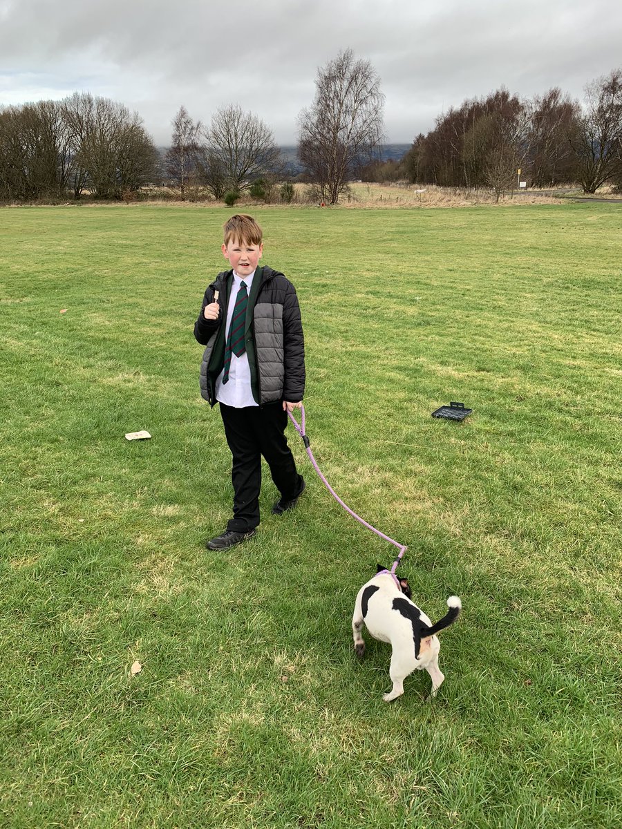 bandeath dog shelter