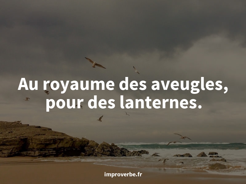 improverbe's tweet photo. Comme on dit : « Au royaume des aveugles, pour des lanternes. » — un proverbe improbable #quote #GrandSki https://t.co/2ldTRLuk6s
