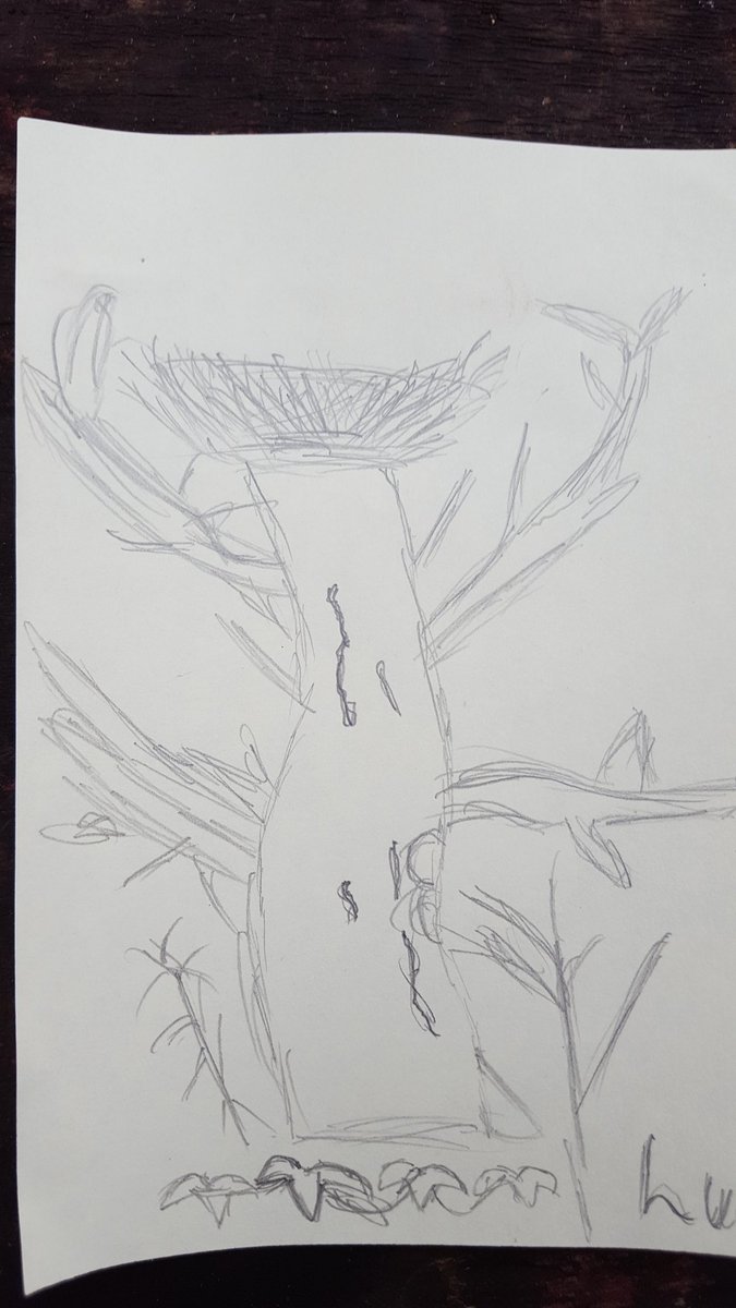 BranchingOutUH's tweet photo. Some forest artwork by Elm class @UptonHeathCE #forestschool #lookingcarefully https://t.co/dIuCZ6Rxub