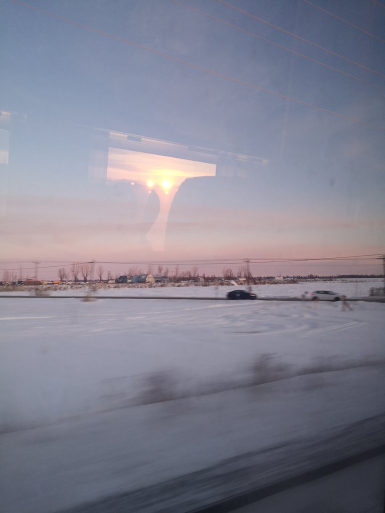 NanoPhyll Inc. tweet media