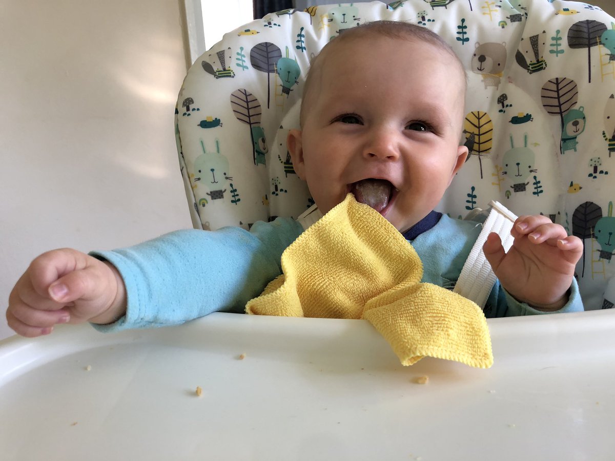 PlasticMission's tweet photo. I’ve been using these cloths instead of #wetwipes since July. Who remembers this original picture of my son?! They may be a bit worn and discoloured but they are still doing the job! #plasticfree #pointlessplastics #plasticpollution #plasticpollutes https://t.co/LklC8jViCn