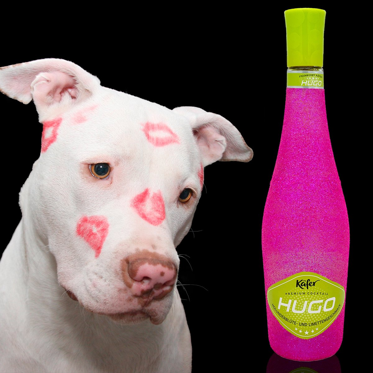 Glitzerwerft Unser Bottleschutz Der Kafer Hugo Ist Gut Beschutzt Hugo Extremepink Besterfreund Hund Hundeliebe Doglover Puppy Instadog Hunde Hundeleben Puppylove Glitzer Pink Gold Sekt Bling Whisky Glitzerflasche