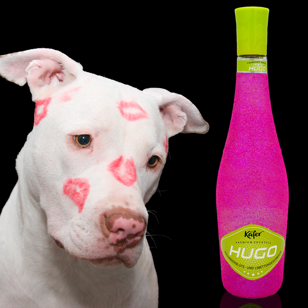 Glitzerwerft Unser Bottleschutz Der Kafer Hugo Ist Gut Beschutzt Hugo Extremepink Besterfreund Hund Hundeliebe Doglover Puppy Instadog Hunde Hundeleben Puppylove Glitzer Pink Gold Sekt Bling Whisky Glitzerflasche