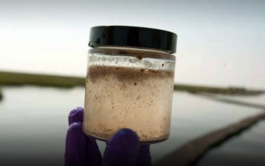InfoBacknews's tweet photo. AGUA CONTAMINADA EN CLAROMECÓ Y TRES ARROYOS

Encontraron niveles de una sustancia agrotóxica por encima de lo recomendado

Más información 👉 https://t.co/yTy3JzVFyC https://t.co/DmRMp3Q974