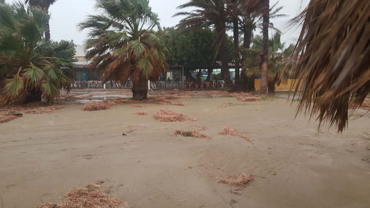 MayCastellon_86's tweet photo. @MonicaNika2411 @elpuertometeo @josestormchaser @MeteoMorella @jfraladevesa @jrambaud @javioru @AEMET_SINOBAS @AEMET_Esp @AEMET_CValencia @meteocastuera @MeteOrihuela @leyre_ordesa @maykel_nav @HugoArevalo29 @meteosojuela @aquilatierratve @JuanjoVillena @Galde_92 @Frente_atlantic @ferdel3399 @tiempobrasero @ecazatormentas @ElTiempodEspana @ElTiempoes Pingüins... #graodecastellon #sinplaya https://t.co/0BHH1Ubxa0