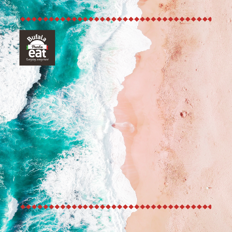 Semplice e buono come la tradizione del #Cilento ci insegna! #BufalaPuntoeat la vuole portare in tutte le città d'Italia!
Il nostro franchising? Per un periodo limitato puoi aprire con prezzo scontato del 50%! Affrettati!
info@nuoveagenzie.com