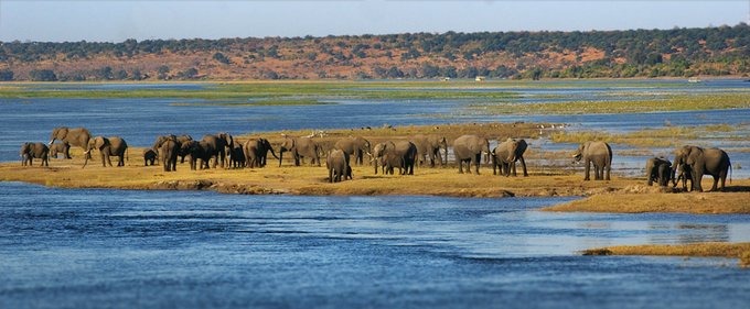 InsectsLimited's tweet photo. The 14th #Fumigants & #Pheormones Conference is at #WorldWonder #VictoriaFalls #Zimbabwe May 12-14. Believe us when we say you won't want to miss this! Register Today!
https://t.co/DOl3NhAaIU @VicFallsDMC https://t.co/4Jaso3CfYQ