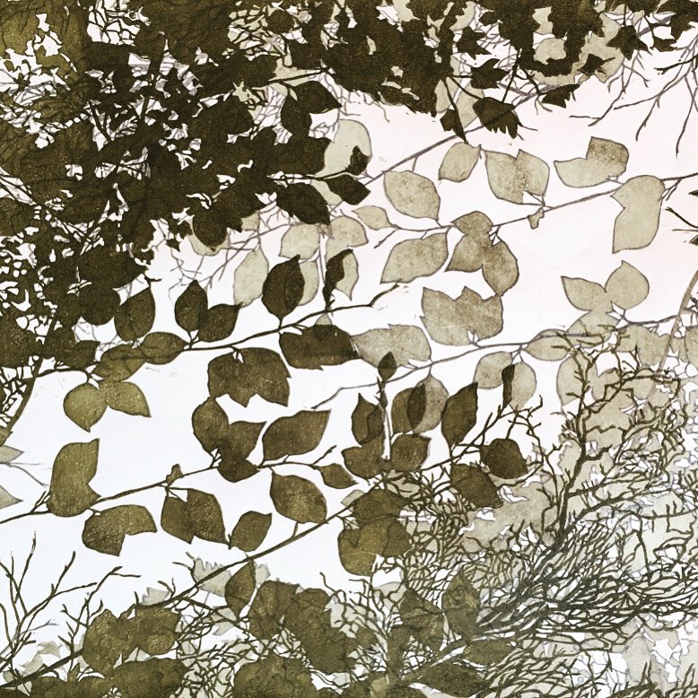 susenoble's tweet photo. Trying out different colour-ways and overprinting...😀
🌱
#saltburnprintmaker
#shinrinyoku
#linocutprint
#limitededition
#multiblockprint
#reliefprint
#workinprogress
#printinprogress
#forestbathing
#ecotherapy
#naturetherapy https://t.co/KPEK6s2zLz