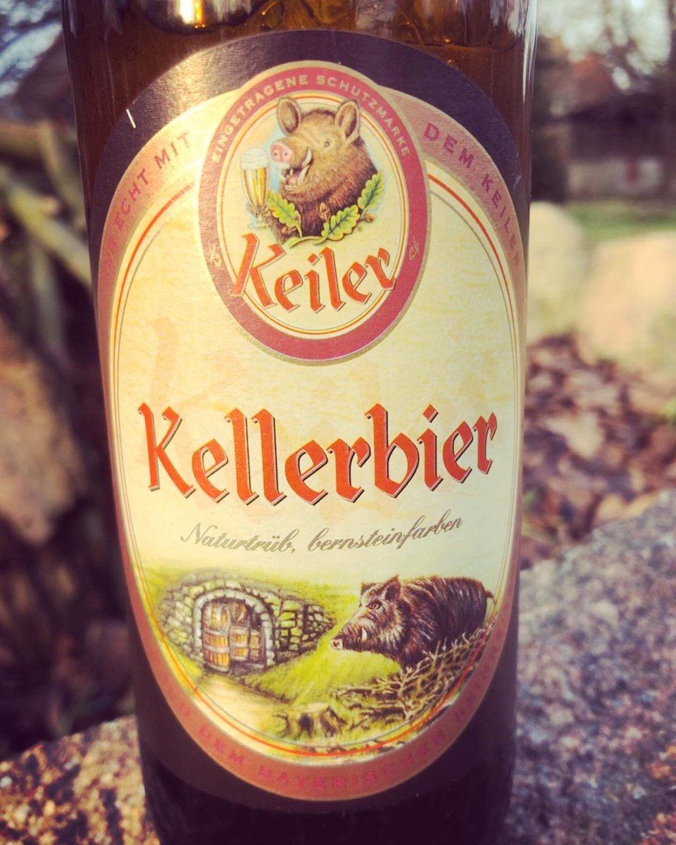 gummibierchen's tweet photo. Als #Gartenarbeitsbier gibts n solides #Kellerbier von #KeilerBier aus #Würzburg,dem Etikett nach der Brauerei mit dem #Wildschwein 🙃In der Nase sehr malzig,kommt im Mund noch eine leichte Herbe hinzu🍺#bierzeit #gardeningbeer #Gartenbier #germanbeer #deutschesBier #Altmarkleben https://t.co/Q1buswKppZ