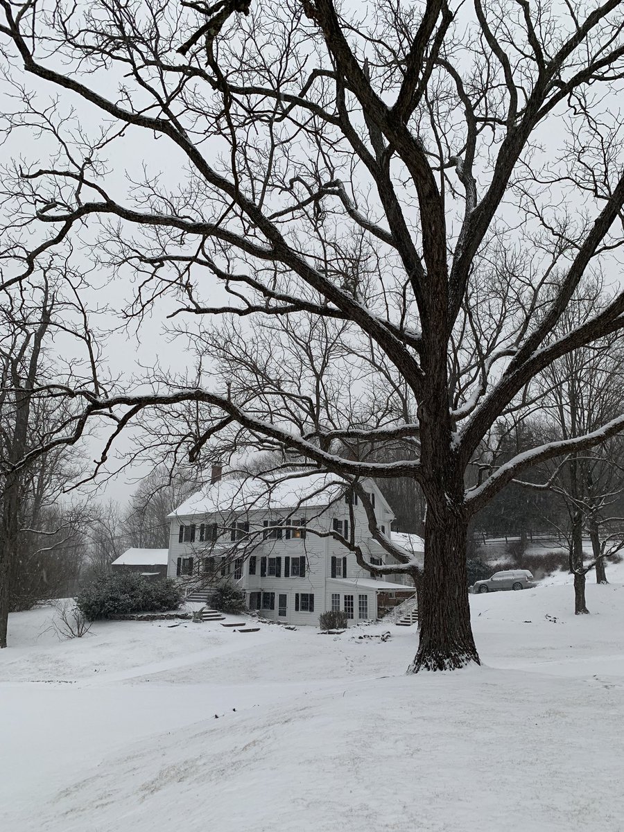 Beth Boyle Machlan tweet media