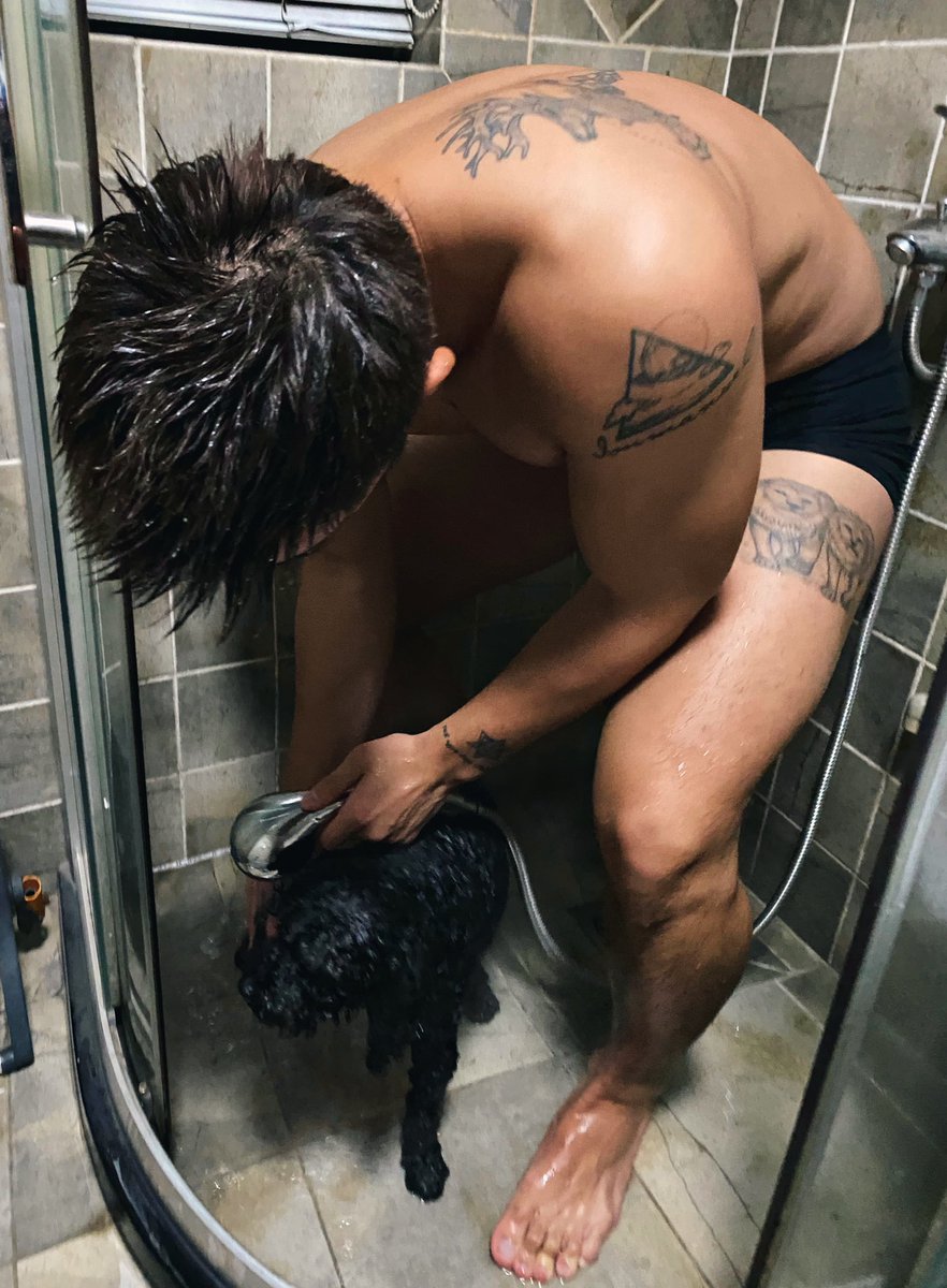 sharkrick2's tweet photo. 🐶 https://t.co/wjEBH7isjf