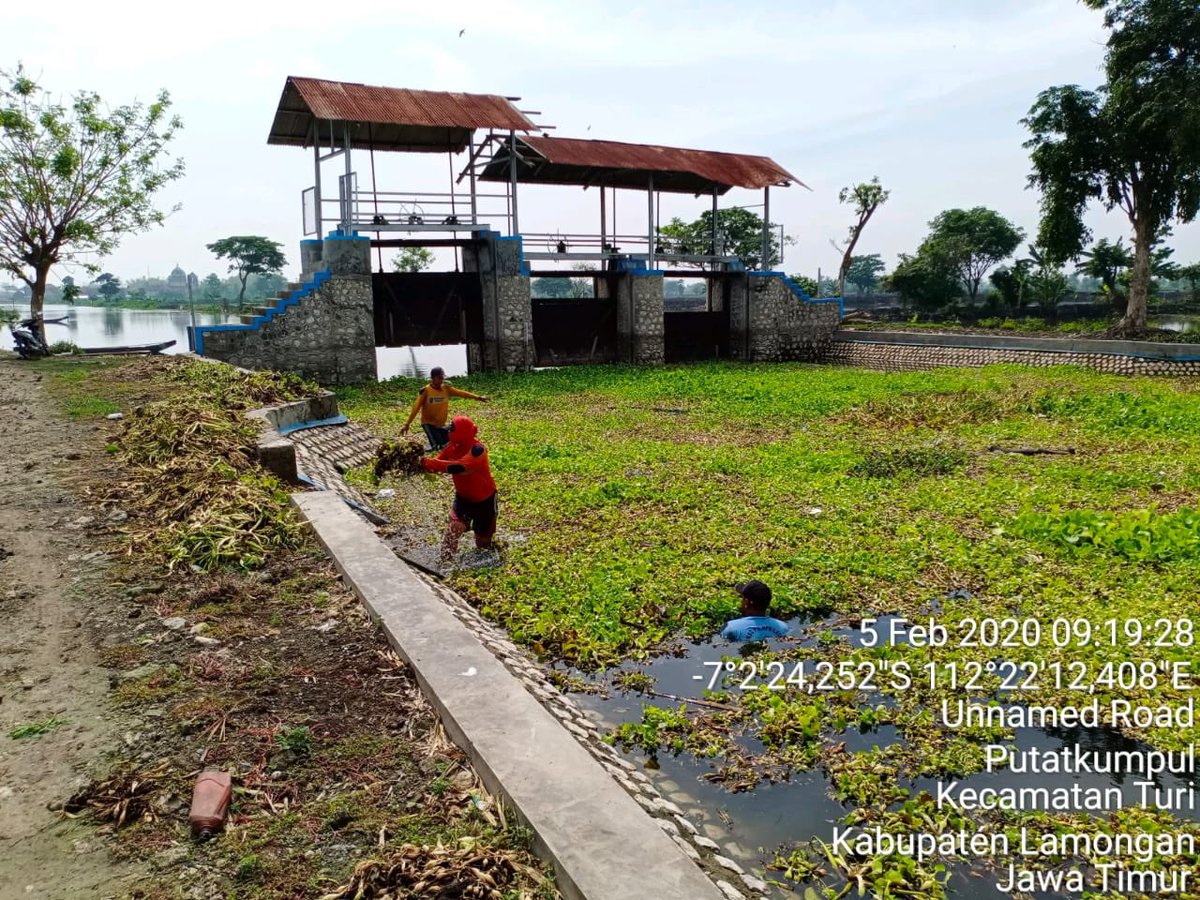 PSDA_BJN_TPOP's tweet photo. Kegiatan rutin Rekan TPOP PPA dan Pekarya DI Bengawan Jero membersihkan Enceng Gondol di Sluis Kentong Kali Blawi, Dusun Kentong Kec. Turi Kab. Lamongan 
#TPOPBJN #TPOP2020 https://t.co/S6pCwA9oHf