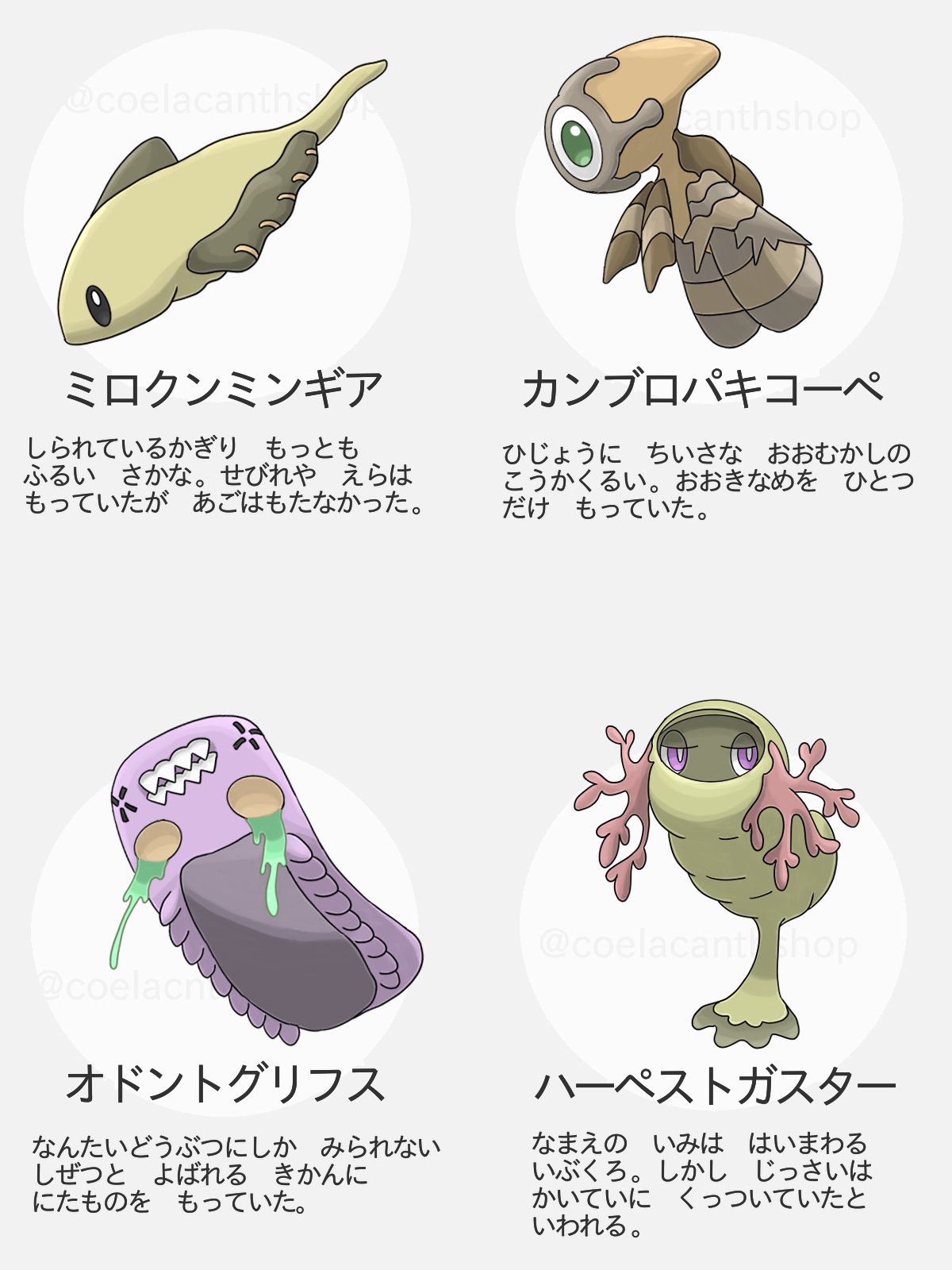 シーラカンス屋さん ポケットモンスターじゃないよカンブリアモンスター 海の生きもの 古生物 T Co Rbqjiyg5fy Twitter