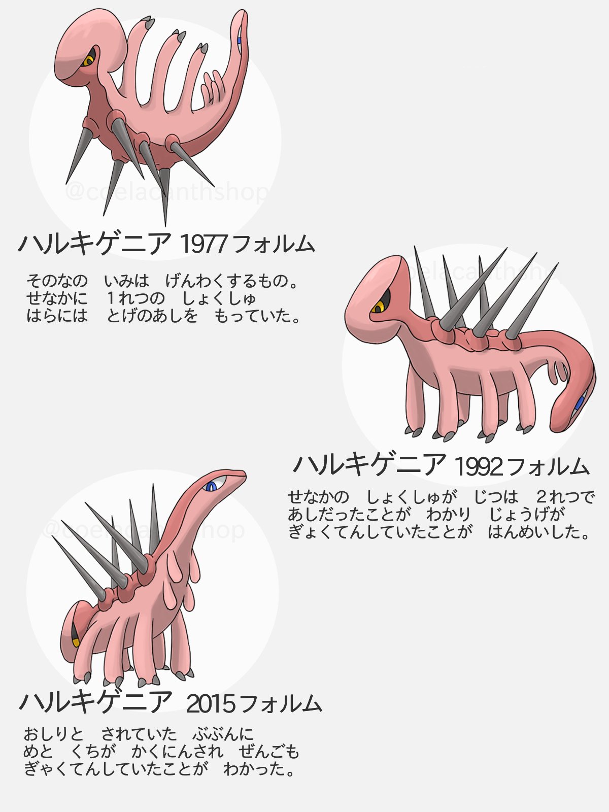 シーラカンス屋さん ポケットモンスターじゃないよカンブリアモンスター 海の生きもの 古生物 シーラカンス屋さん ポケットモンスターじゃないよカンブリアモンスター 海の生きもの 古生物