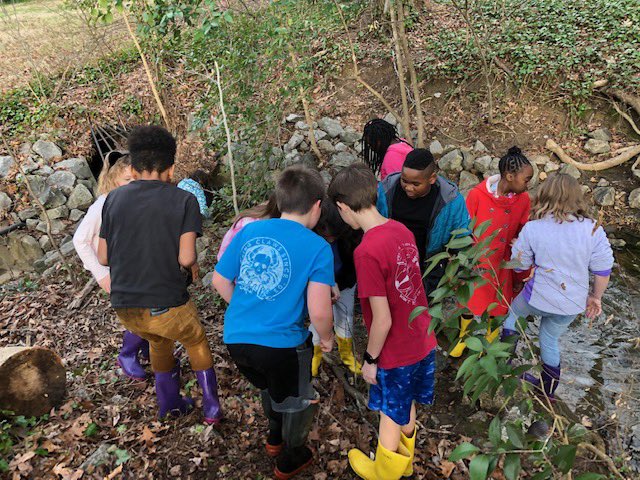 GenGreeneGators's tweet photo. General Greene is fortunate to have a certified science specialist! Our Gators get to experience many hands-on activities &amp; see science up close &amp; personal! Mrs. Baldwin took her science classes to the creek to explore today! Look what they discovered! #scienceinourbackyard https://t.co/oFoplwhgOp
